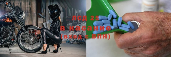 ПСИЛОЦИБИНОВЫЕ ГРИБЫ Белоозёрский