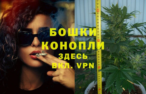 ПСИЛОЦИБИНОВЫЕ ГРИБЫ Белоозёрский