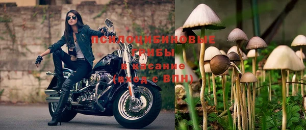 дурь Беломорск