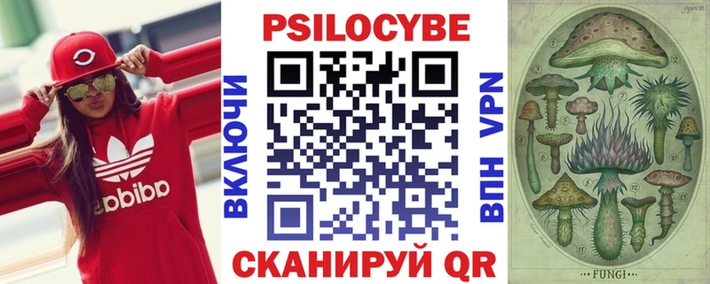закладки Лыткарино Галлюциногенные грибы Psilocybine cubensis